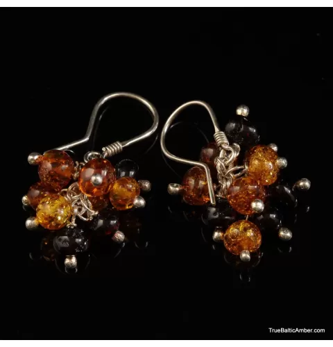 Grape bunch Baltic amber multi dangle earrings