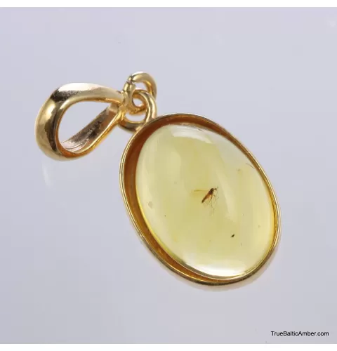 Gold Plated Baltic amber pendant with insect inclusion