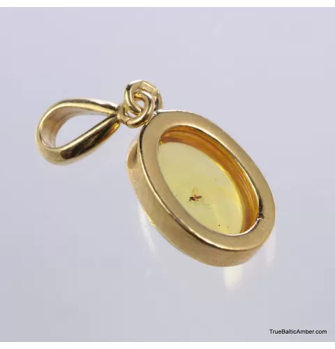 Gold Plated Baltic amber pendant with insect inclusion