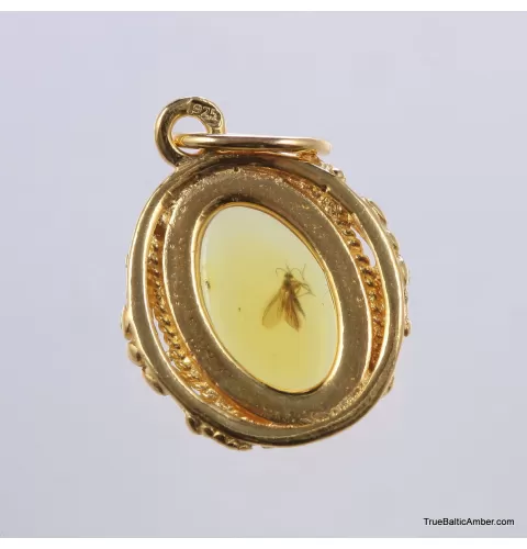 Gold Plated Baltic amber pendant with insect inclusion