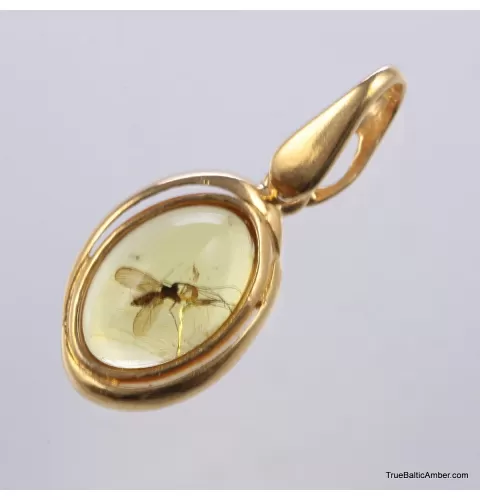 Gold Plated Baltic amber pendant with insect inclusion