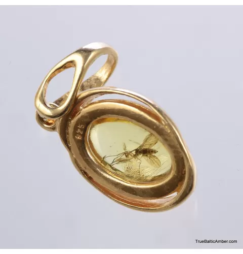 Gold Plated Baltic amber pendant with insect inclusion