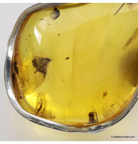 Large amulet Baltic amber silver pendant with insect inclusion 21g