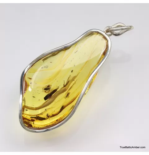 Large amulet Baltic amber silver pendant with insect inclusion 20g