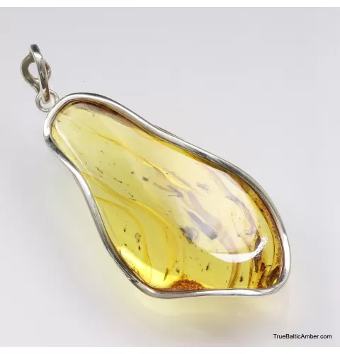Large amulet Baltic amber silver pendant with insect inclusion 20g