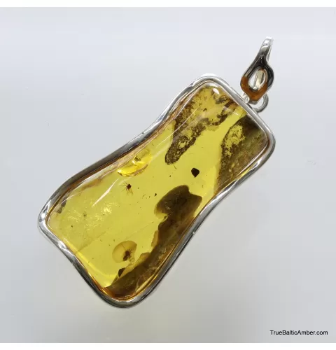 Large amulet Baltic amber silver pendant with insect inclusion 17g