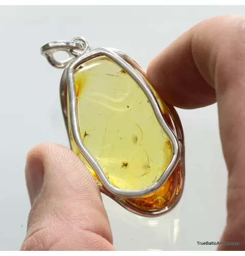Large amulet Baltic amber silver pendant with insect inclusion 16g