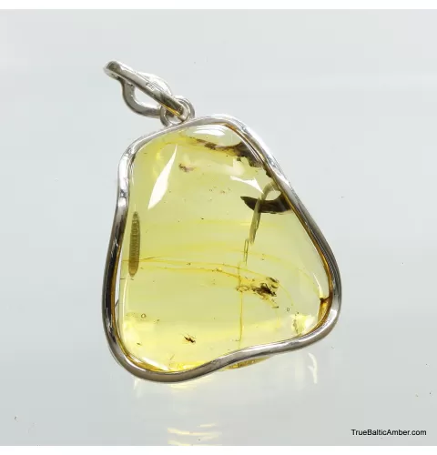 Large amulet Baltic amber silver pendant with insect inclusion 16g