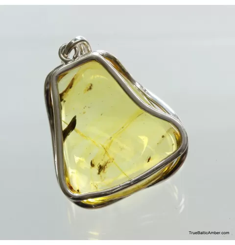 Large amulet Baltic amber silver pendant with insect inclusion 16g