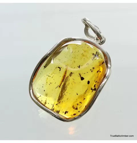 Large amulet Baltic amber silver pendant with diptera insect inclusion 15g