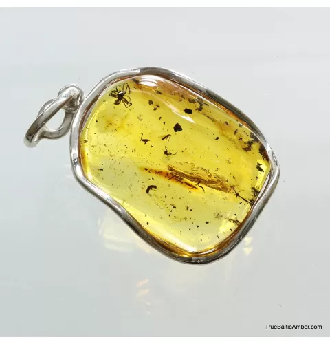 Large amulet Baltic amber silver pendant with diptera insect inclusion 15g