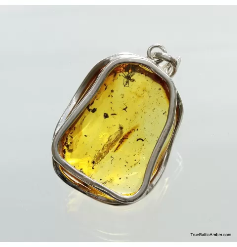 Large amulet Baltic amber silver pendant with diptera insect inclusion 15g