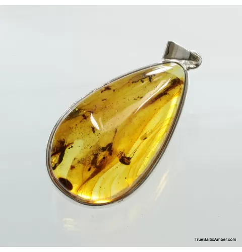 Large amulet Baltic amber silver pendant w insect inclusion 16g