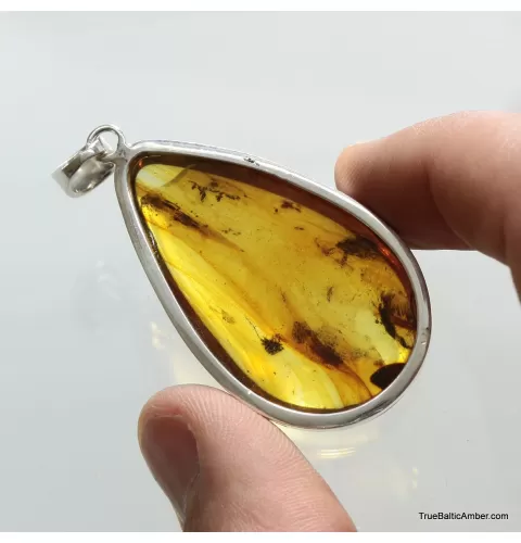 Large amulet Baltic amber silver pendant w insect inclusion 16g