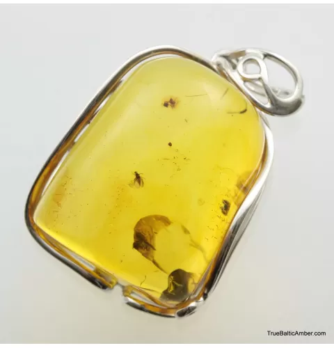 Large amulet Baltic amber silver pendant w insect inclusion 15g