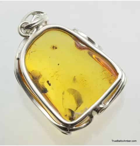 Large amulet Baltic amber silver pendant w insect inclusion 15g
