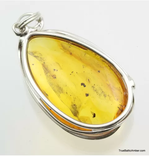 Large amulet Baltic amber silver pendant w insect inclusion 15g