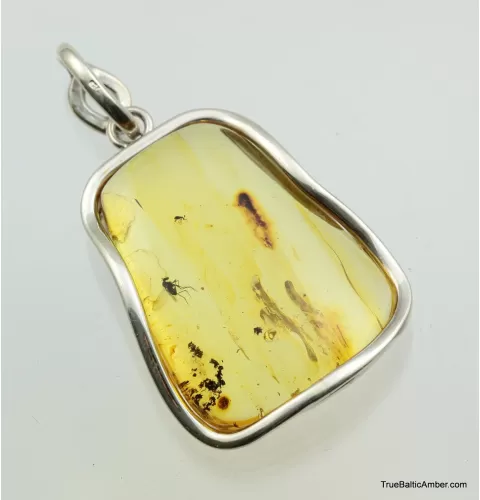Large amulet Baltic amber silver pendant w insect inclusion 12g