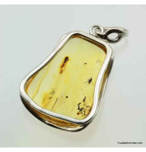 Large amulet Baltic amber silver pendant w insect inclusion 12g