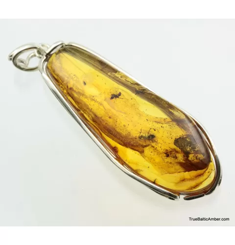 Large amulet Baltic amber silver pendant w insect inclusion 14g