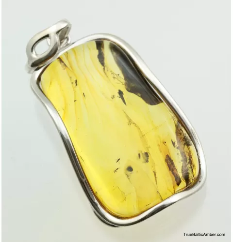 Large amulet Baltic amber silver pendant w insect inclusion 14g