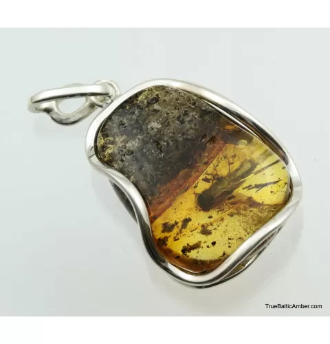 Large amulet Baltic amber silver pendant w insect inclusion 12g