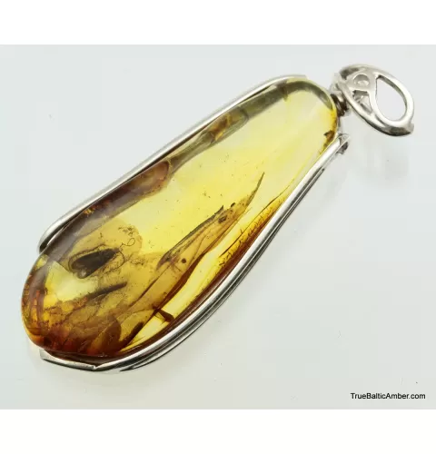 Large amulet Baltic amber silver pendant w insect inclusion 11g