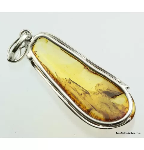 Large amulet Baltic amber silver pendant w insect inclusion 11g