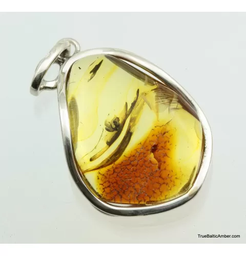 Large Baltic amber silver pendant w insect inclusion 11g