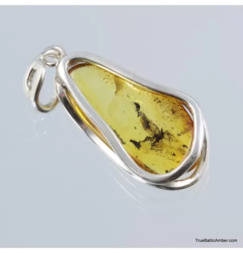Baltic amber silver pendant w insect inclusion 8g