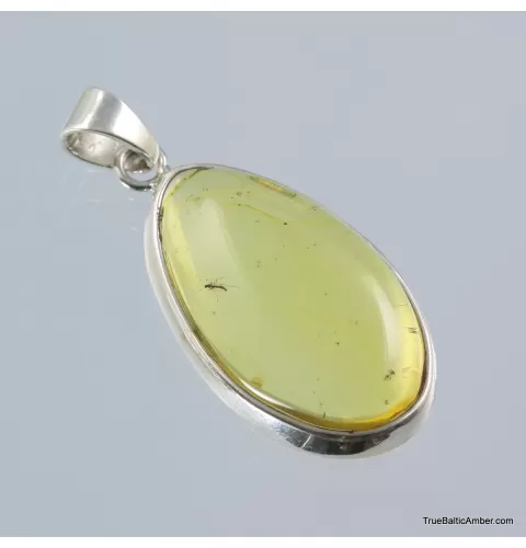 Baltic amber silver pendant w insect inclusion 7g