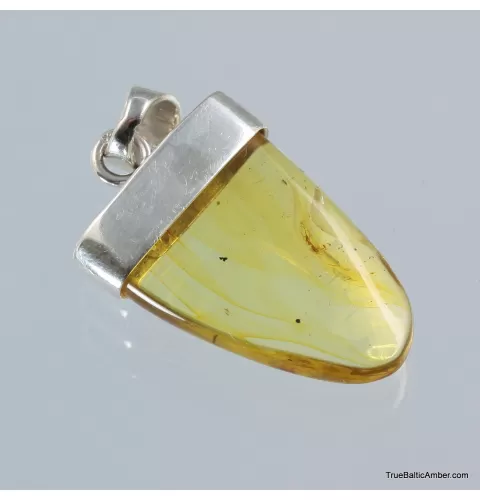 Baltic amber silver pendant w insect inclusion 6g