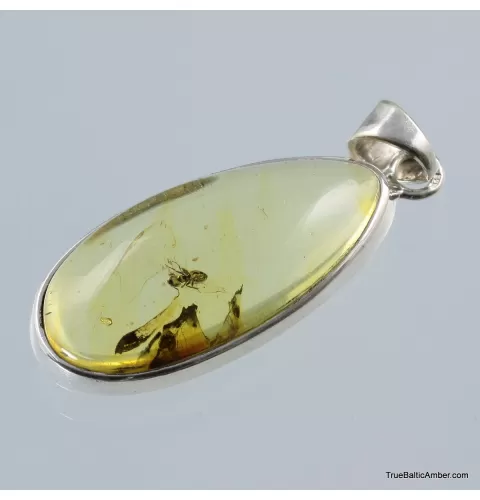 Baltic amber silver pendant w insect inclusion 6g
