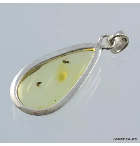 Baltic amber silver pendant w insect inclusion 5g