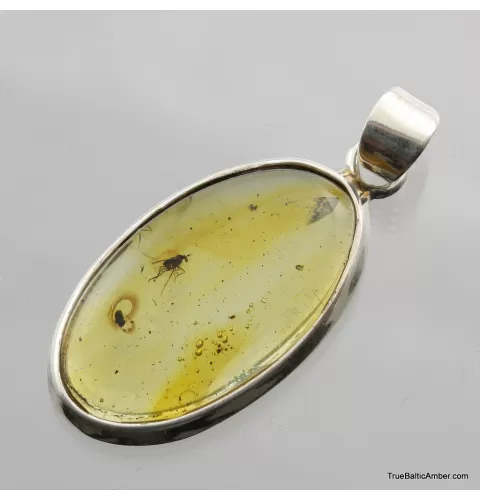 Baltic amber silver pendant w insect inclusion 5g