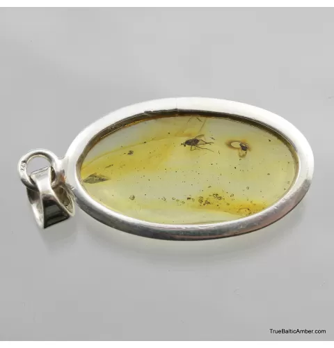 Baltic amber silver pendant w insect inclusion 5g