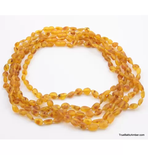 5 Honey RAW BEANS Baltic amber adult necklaces