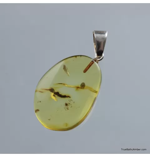 Baltic amber CARVED pendant