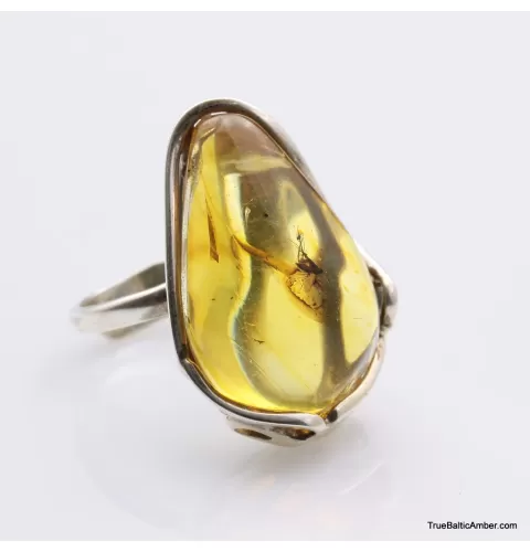 Baltic amber silver ring w insect inclusion