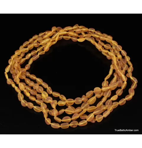 5 Honey RAW BEANS Baltic amber adult necklaces