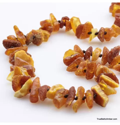 Baltic amber - unique tick repellant for Pets