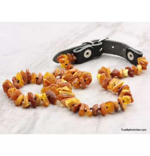 Baltic amber - unique tick repellant for Pets