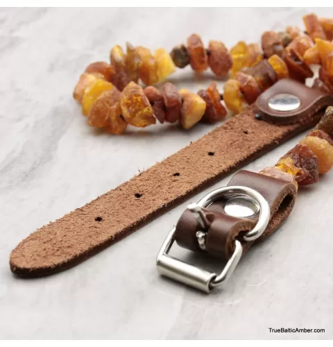 Baltic amber - unique tick repellant for Pets