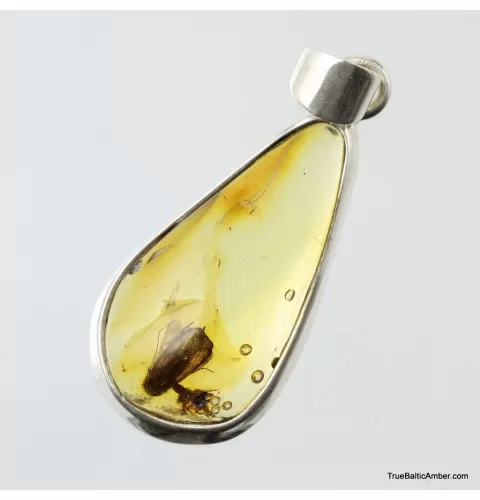Baltic amber silver pendant w insect inclusion 4g