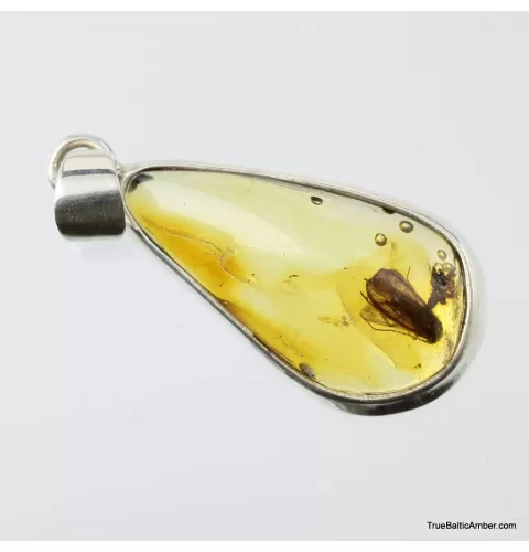 Baltic amber silver pendant w insect inclusion 4g