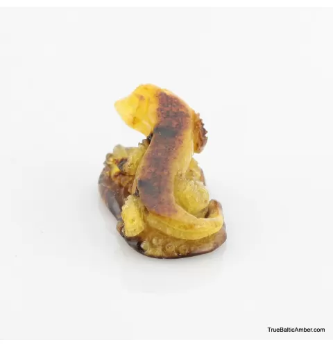 Carved Genuine BALTIC AMBER - Lizard