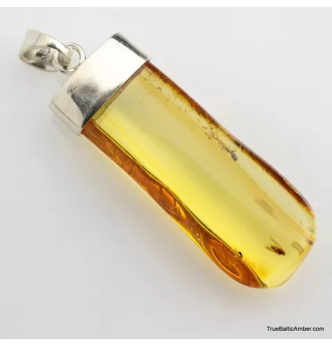 Baltic amber silver pendant w insect inclusion 8g