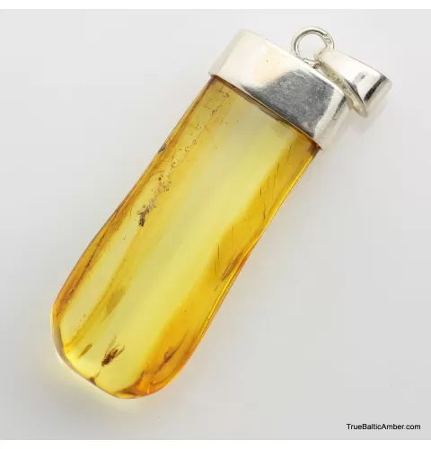 Baltic amber silver pendant w insect inclusion 8g