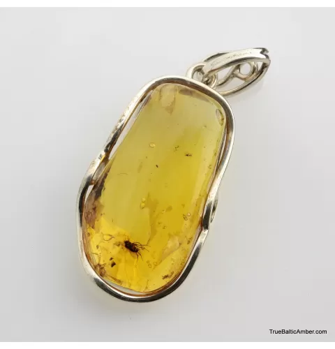 Baltic amber silver pendant w insect inclusion 7g