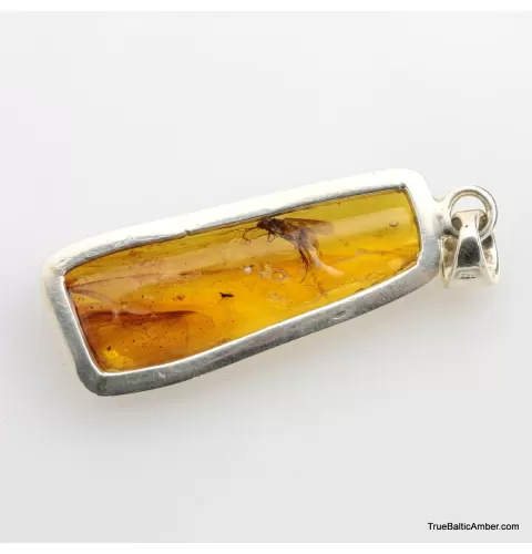 Baltic amber silver pendant w insect inclusion 5g